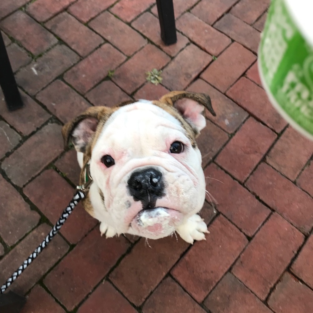 Meet your Posher, Madi